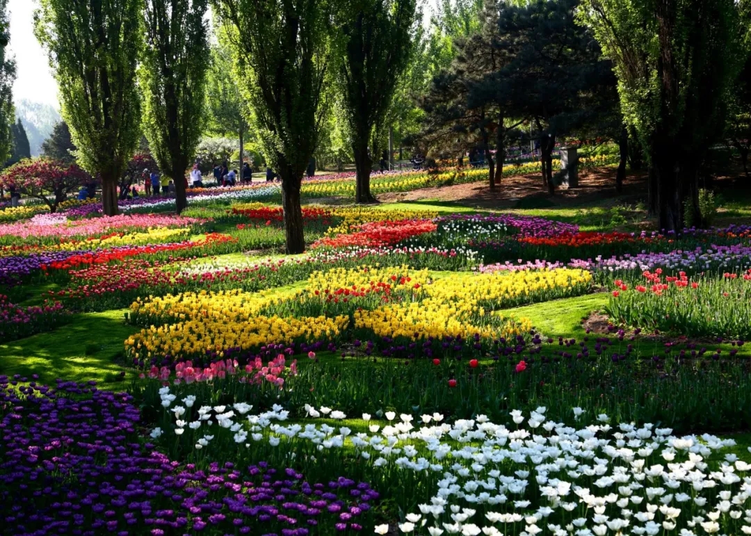 【出游正當(dāng)時(shí)】5月6日松鼠戶外香植溜腿
