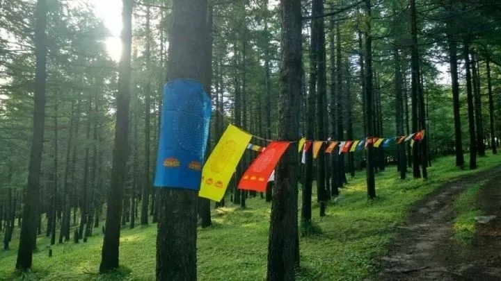 【松鼠戶外】7.13~7.15，每年走一次，五臺山朝臺之路