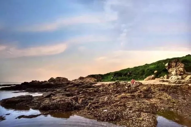 【無(wú)人島露營(yíng)】7.20~7.22 相約海邊，看日出、捉螃蟹