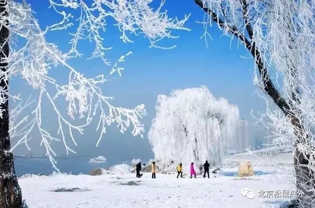 2020年元旦東北跨年|雪鄉(xiāng)+雪谷+霧凇島+鏡泊湖+長白山+魔界