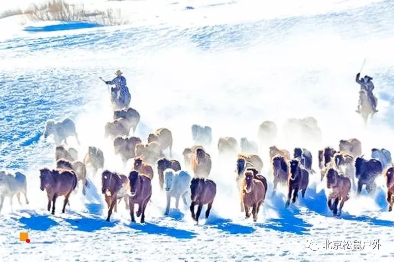 「冬季烏蘭布統」12.21~22日 | 塞北雪鄉-越野馳騁-馬踏飛雪-冰雪童話-攝影深度游