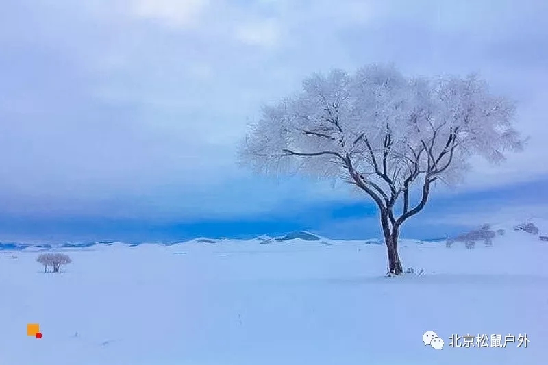 「冬季烏蘭布統」12.21~22日 | 塞北雪鄉-越野馳騁-馬踏飛雪-冰雪童話-攝影深度游