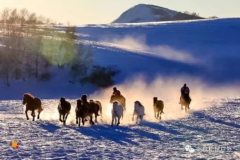「冬季烏蘭布統」12.21~22日 | 塞北雪鄉-越野馳騁-馬踏飛雪-冰雪童話-攝影深度游