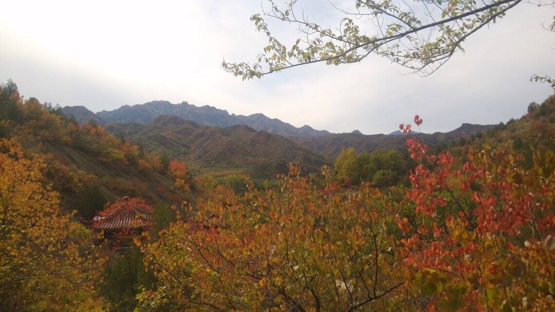 北京野蘑菇戶外俱樂部好嗎,蘑菇旅行怎么樣