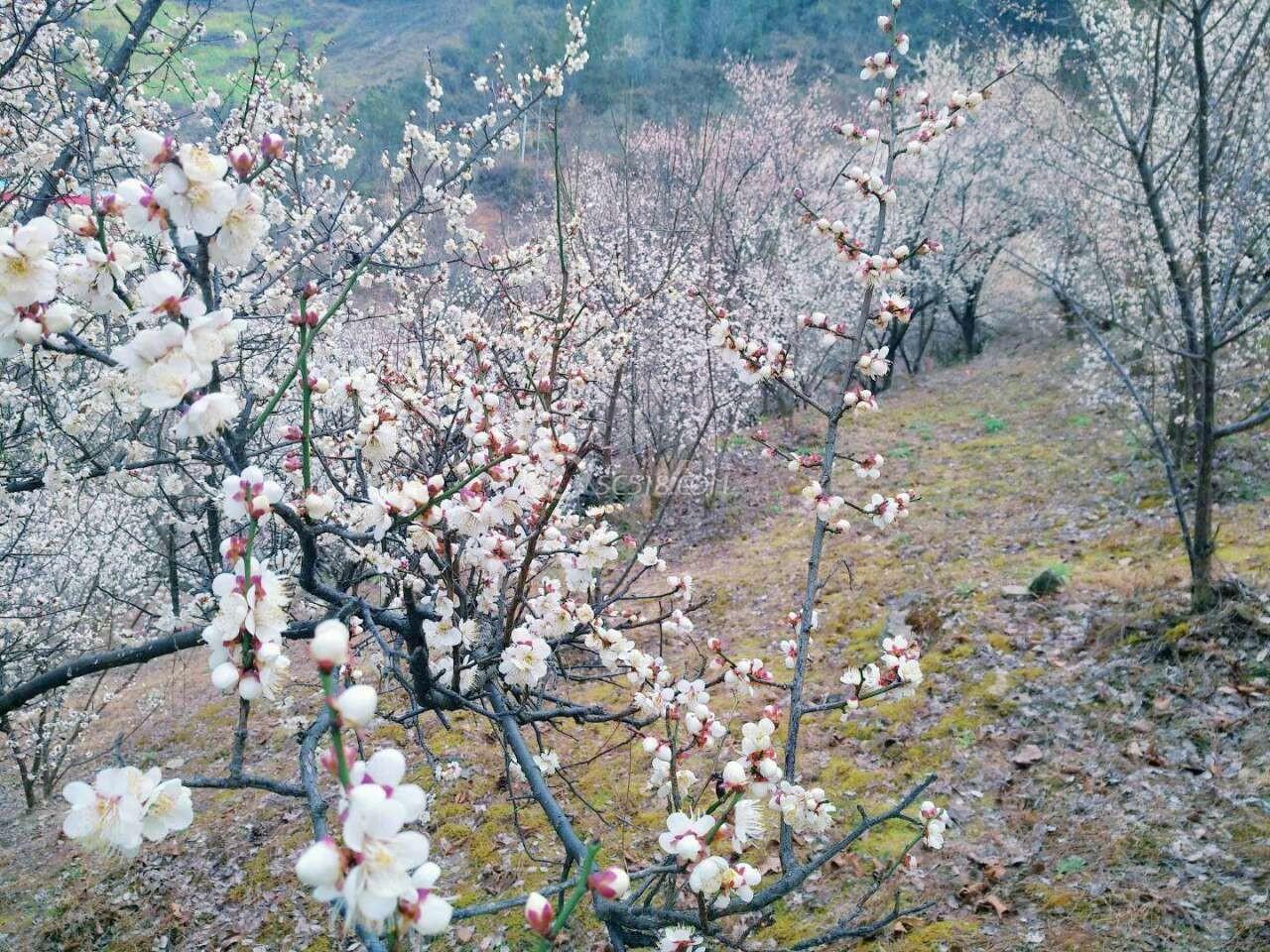 北京草履蟲社區(qū)交友可靠嗎