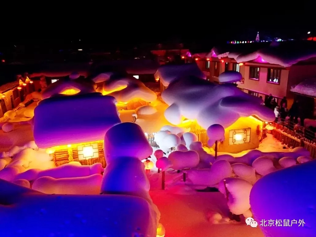 「2021年元旦雪鄉(xiāng)旅游」雪谷雪鄉(xiāng)徒步穿越，戶外純玩線路