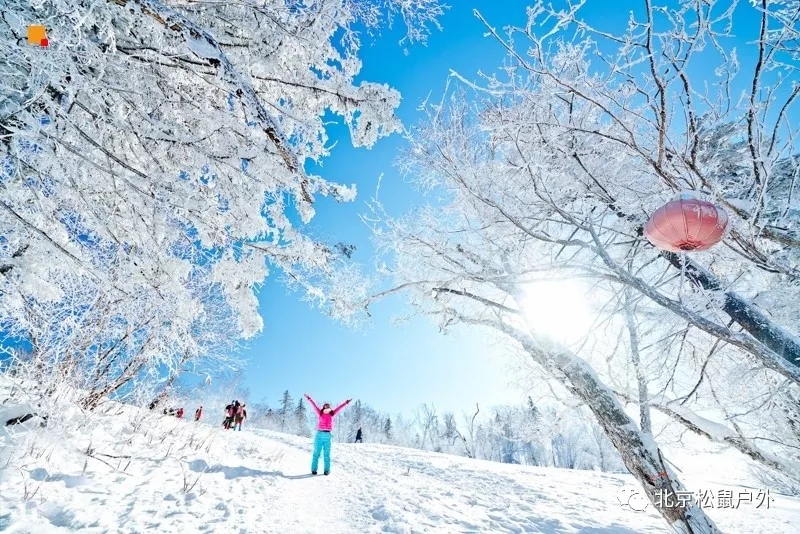 「2021年元旦雪鄉(xiāng)旅游」雪谷雪鄉(xiāng)徒步穿越，戶外純玩線路